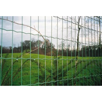 Welded Wire Mesh Fencing S595